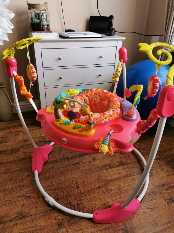 pink rainforest jumperoo